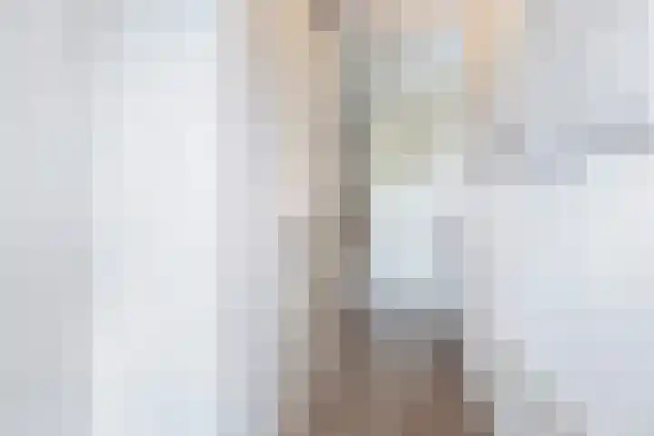 Kokerjuffer 27 Hengelo thumbnail 17