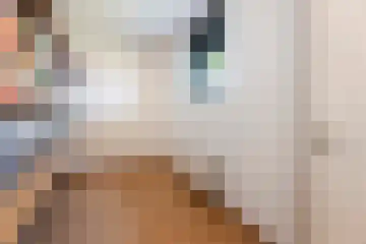 Kokerjuffer 27 Hengelo thumbnail 34