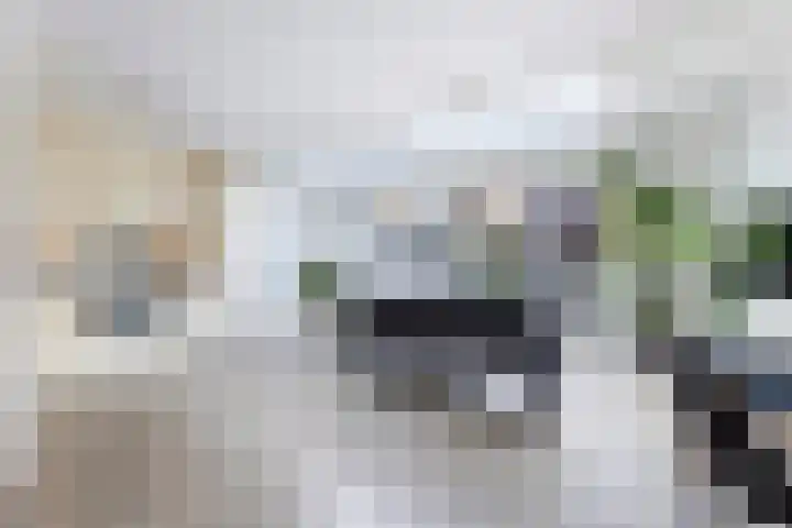 Kokerjuffer 27 Hengelo thumbnail 4