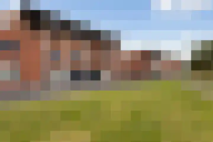 Kokerjuffer 27 Hengelo thumbnail 41
