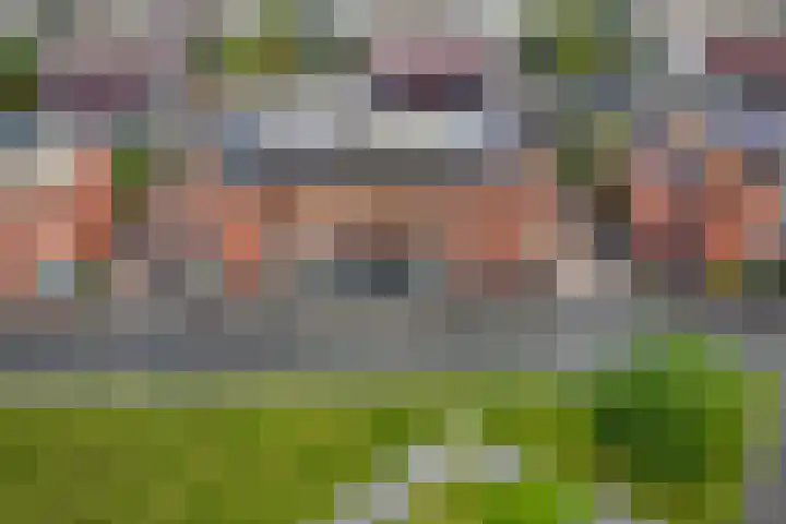 Kokerjuffer 27 Hengelo thumbnail 42