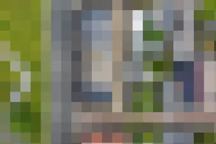 Kokerjuffer 27 Hengelo thumbnail 43