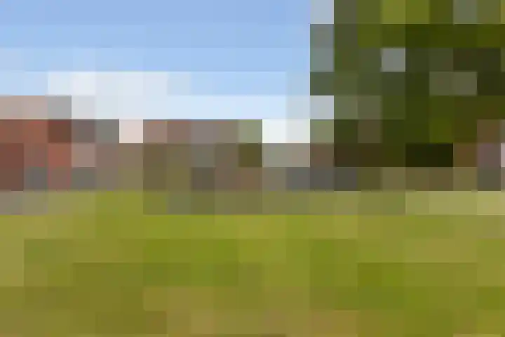Kokerjuffer 27 Hengelo thumbnail 44