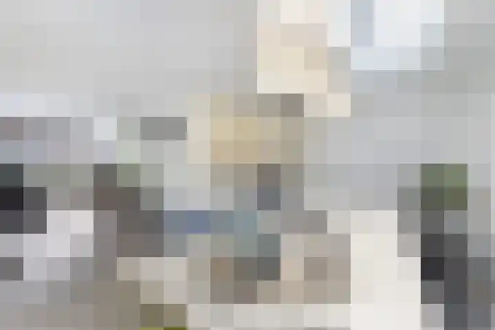 Kokerjuffer 27 Hengelo thumbnail 6