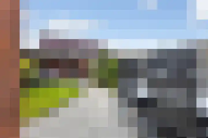 Kokerjuffer 27 Hengelo thumbnail 8