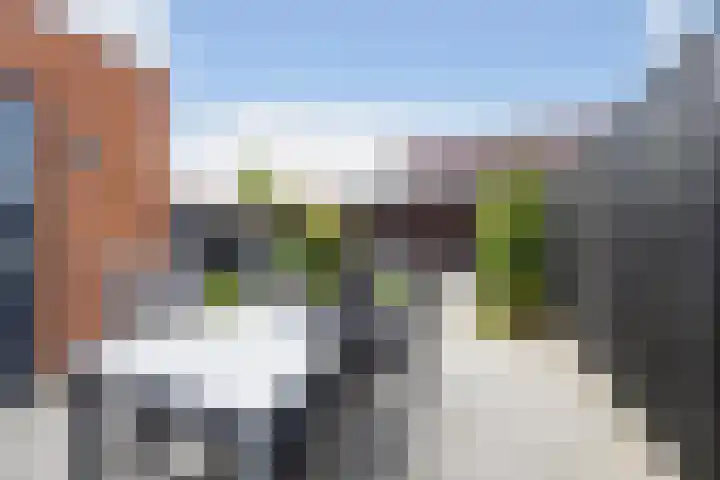 Kokerjuffer 27 Hengelo thumbnail 9