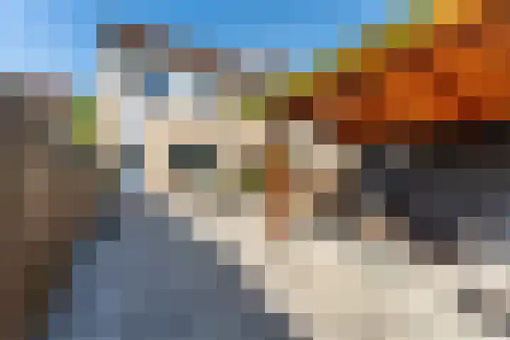 Kokermolenpad 15 Almere thumbnail 34