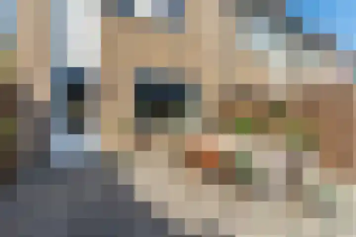 Kokermolenpad 15 Almere thumbnail 37