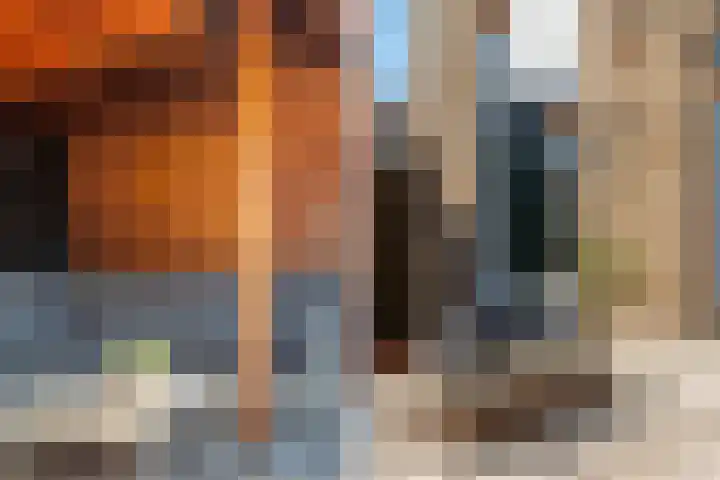 Kokermolenpad 15 Almere thumbnail 39