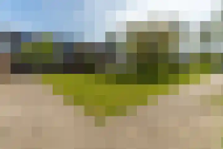 Kokermolenpad 15 Almere thumbnail 41
