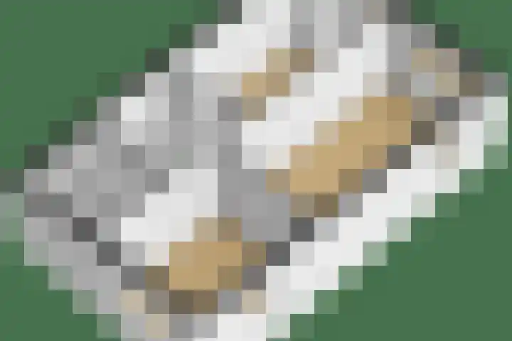 Kokermolenpad 15 Almere thumbnail 47