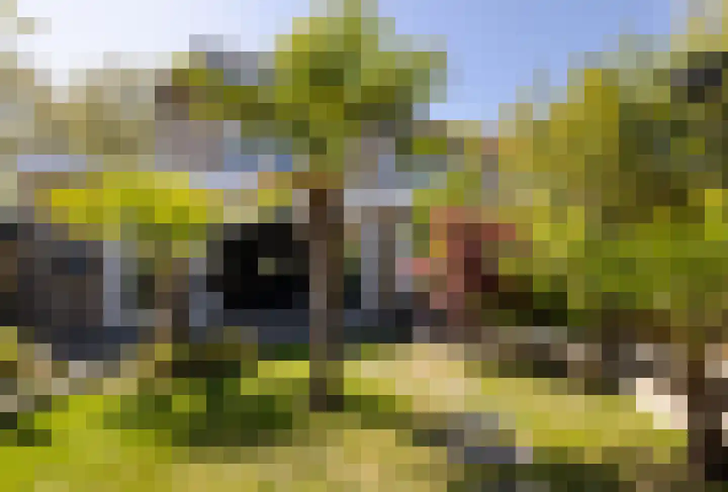 Kokermolenpad 51 Almere thumbnail 51