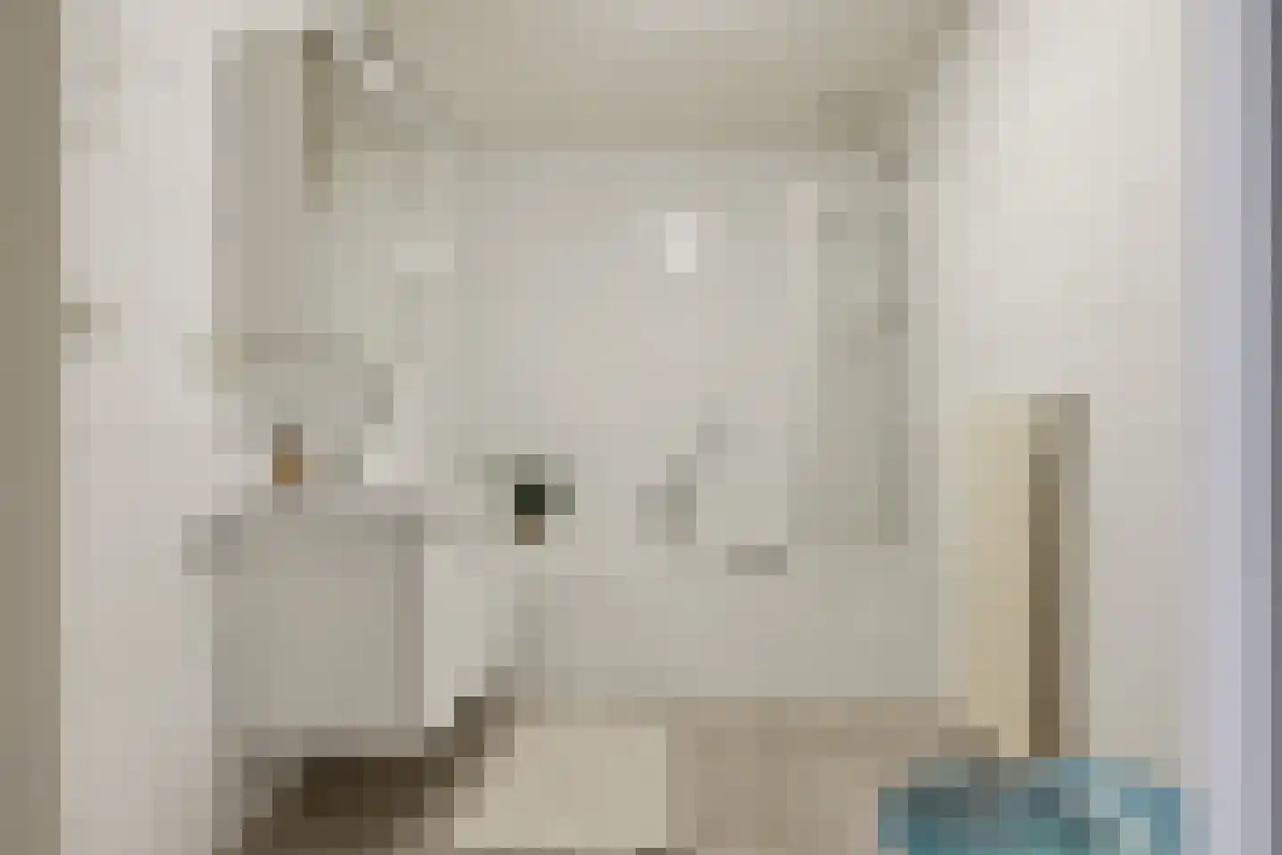 Kokerstraat 17 A Wormer thumbnail 25