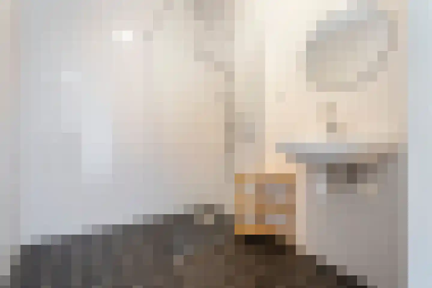 Kokerstraat 85 Wormer thumbnail 20