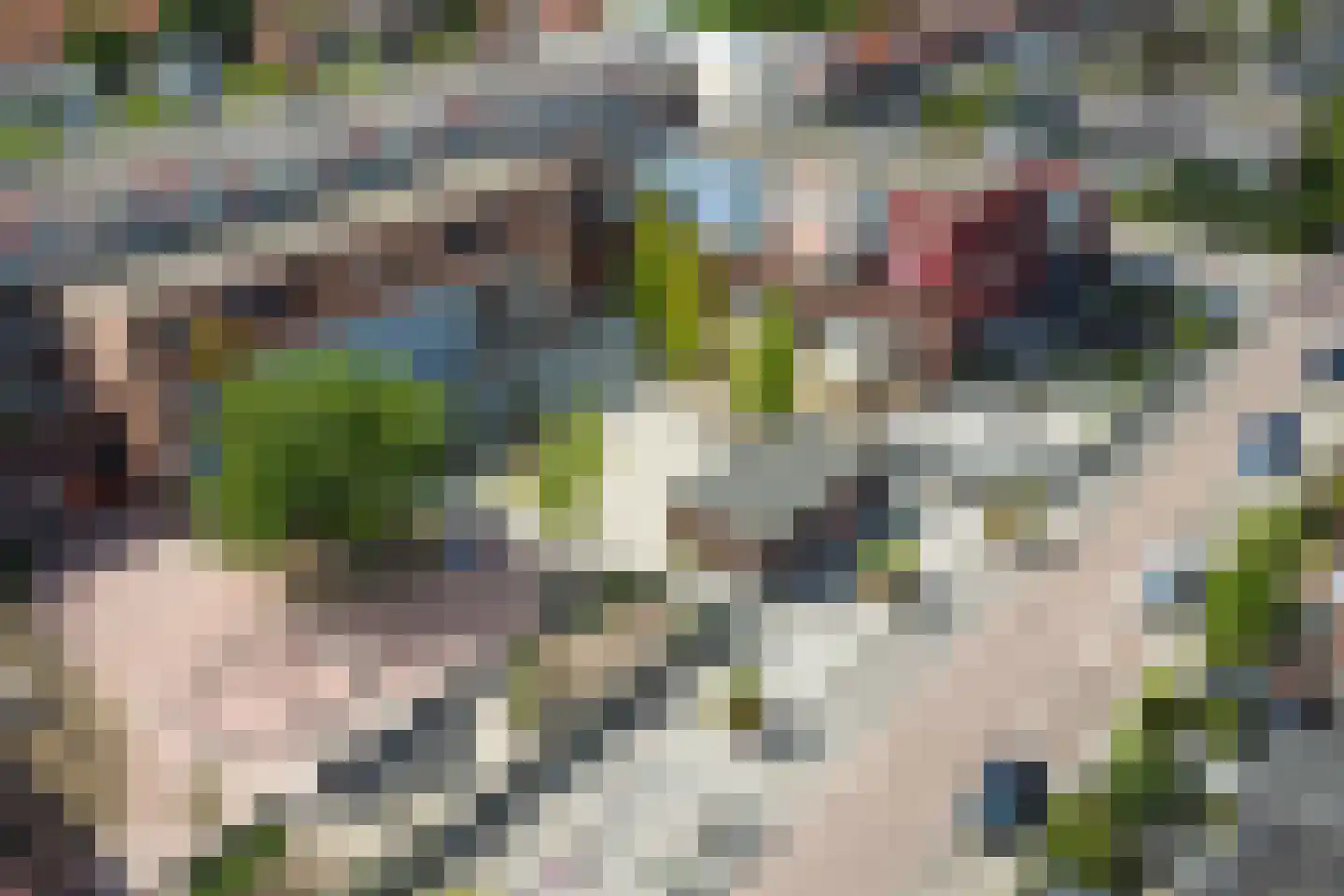 Kokerstraat 85 Wormer thumbnail 37