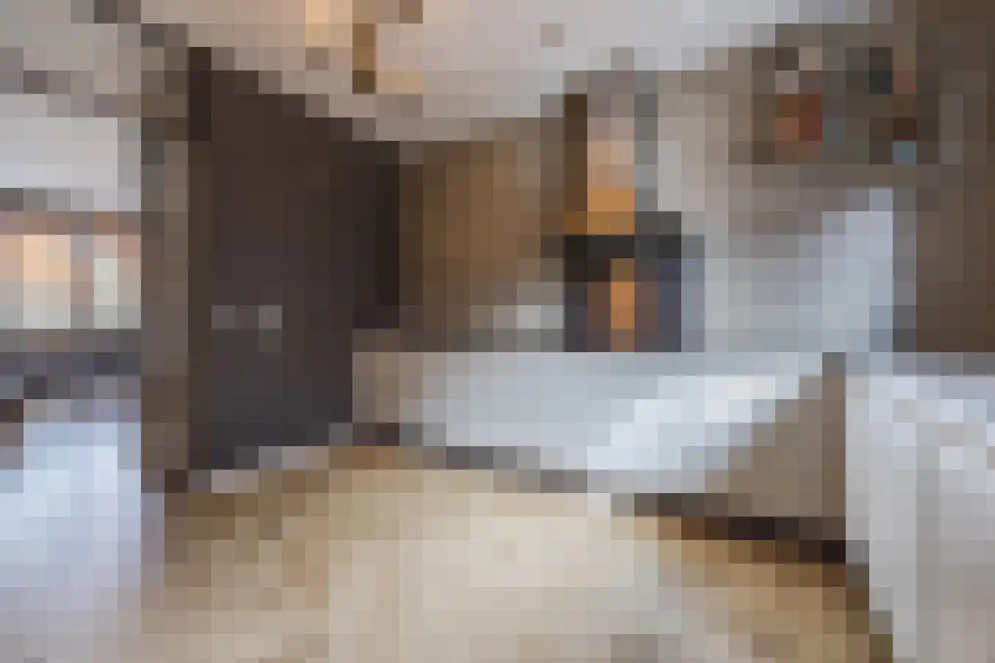 Kokhaanhof 10 Den Haag thumbnail 13