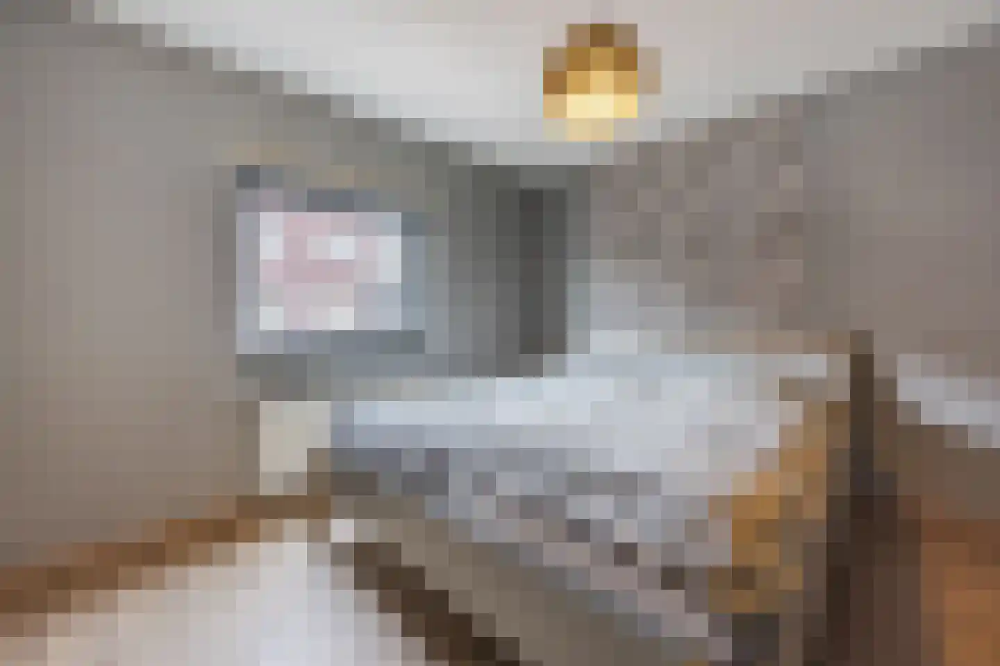 Kokhaanhof 10 Den Haag thumbnail 18
