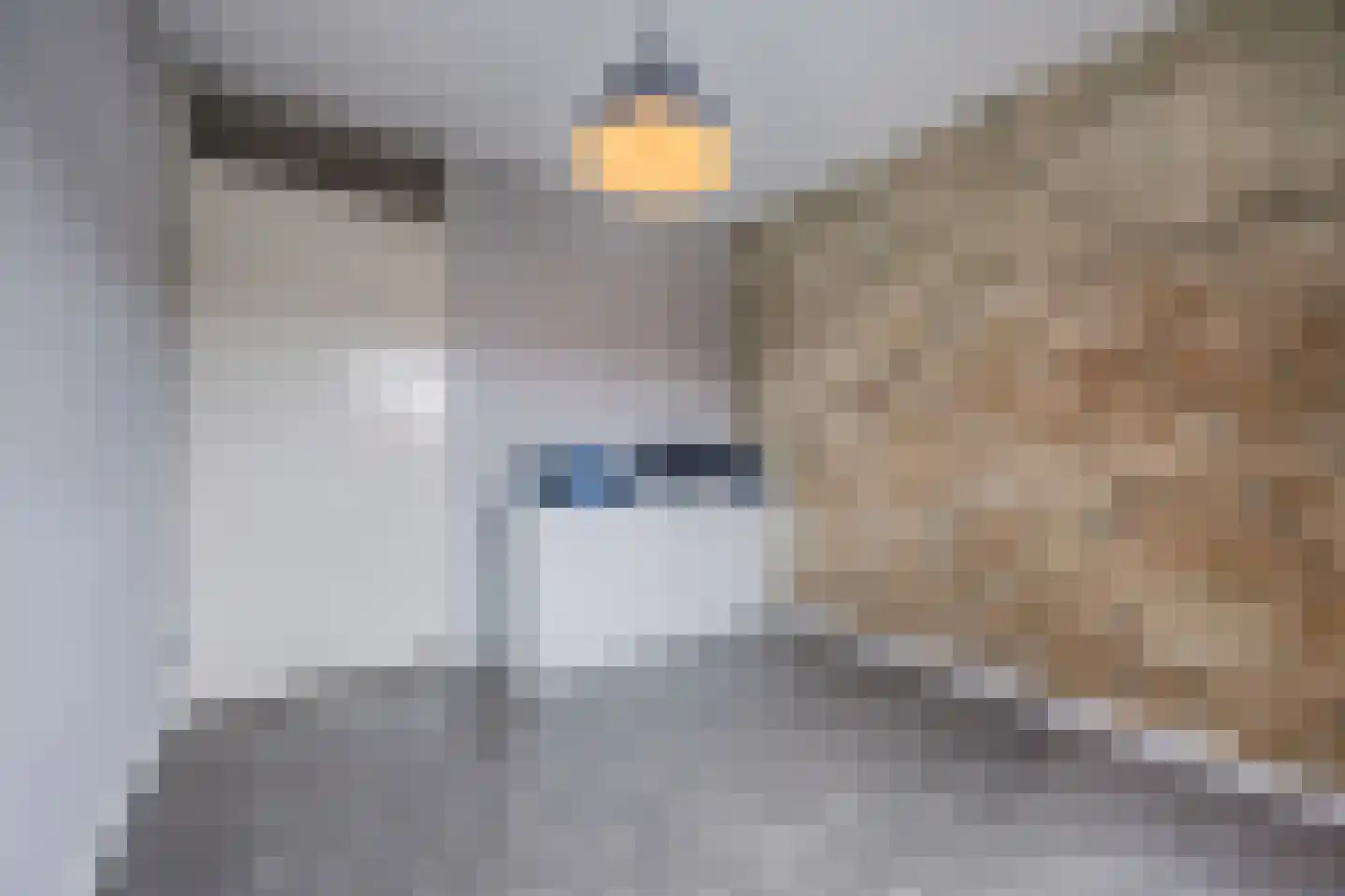 Kokhaanhof 10 Den Haag thumbnail 23