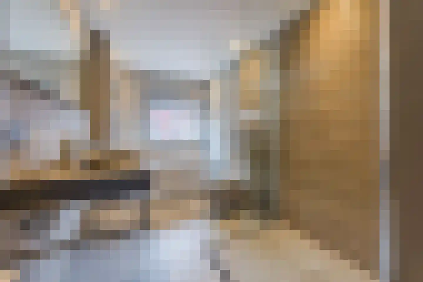Kokhaanhof 10 Den Haag thumbnail 26