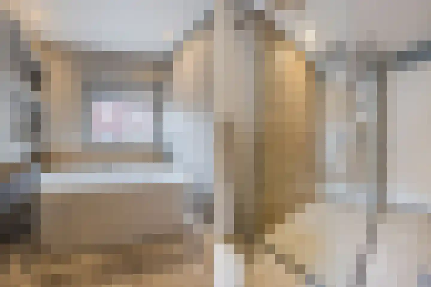 Kokhaanhof 10 Den Haag thumbnail 30