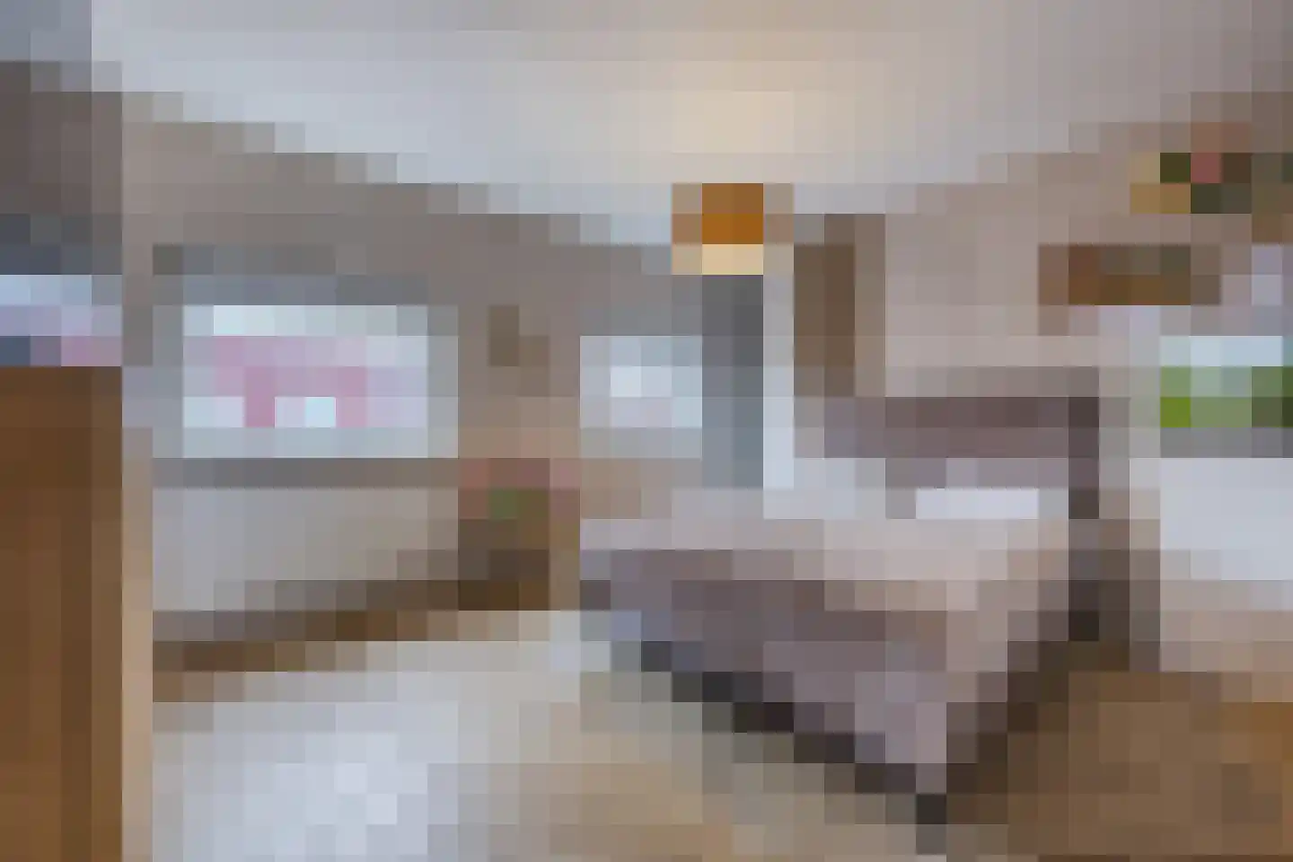 Kokhaanhof 10 Den Haag thumbnail 33