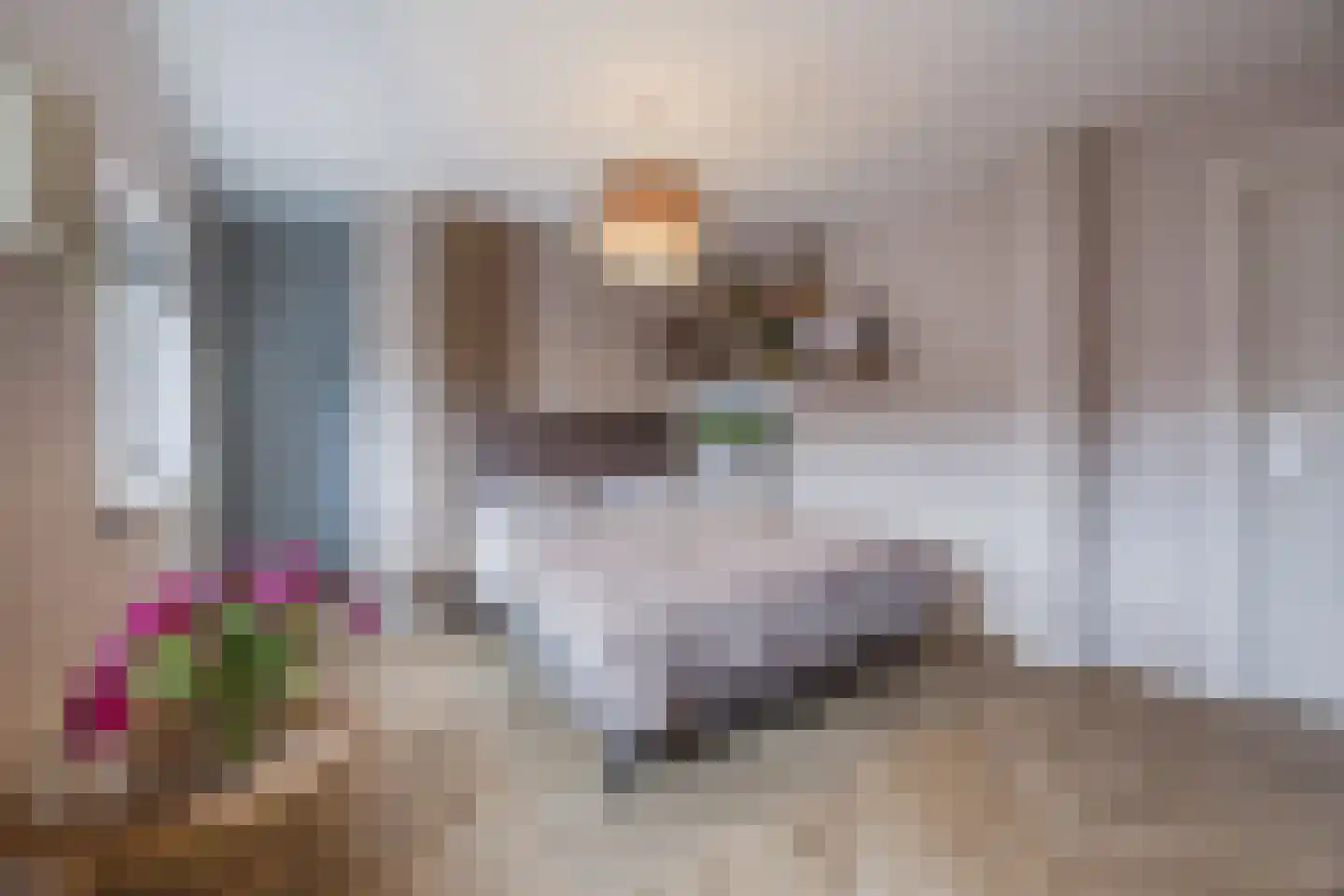 Kokhaanhof 10 Den Haag thumbnail 34