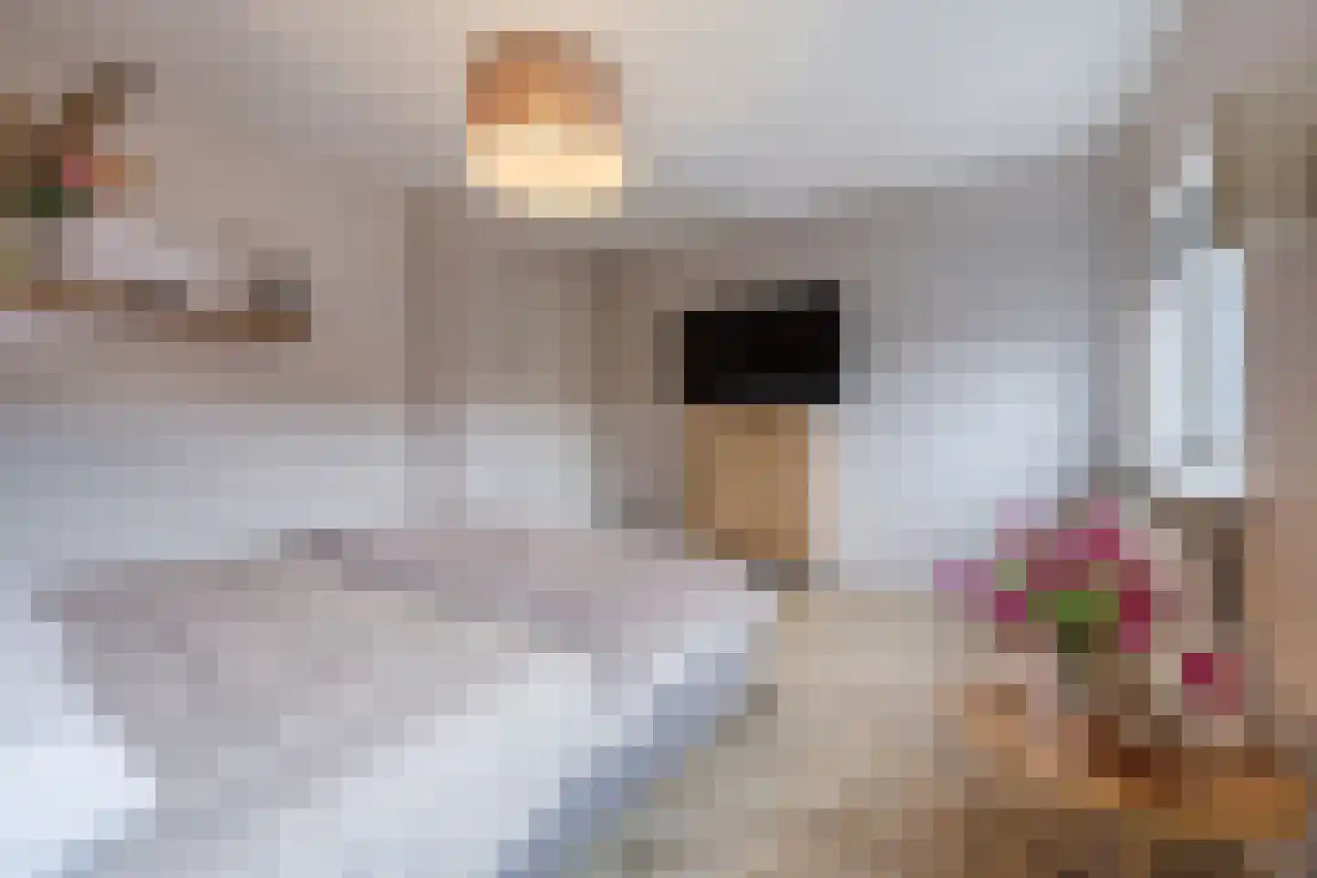 Kokhaanhof 10 Den Haag thumbnail 35