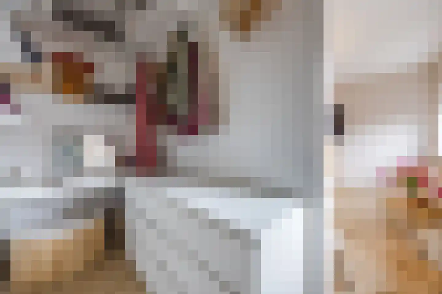 Kokhaanhof 10 Den Haag thumbnail 37