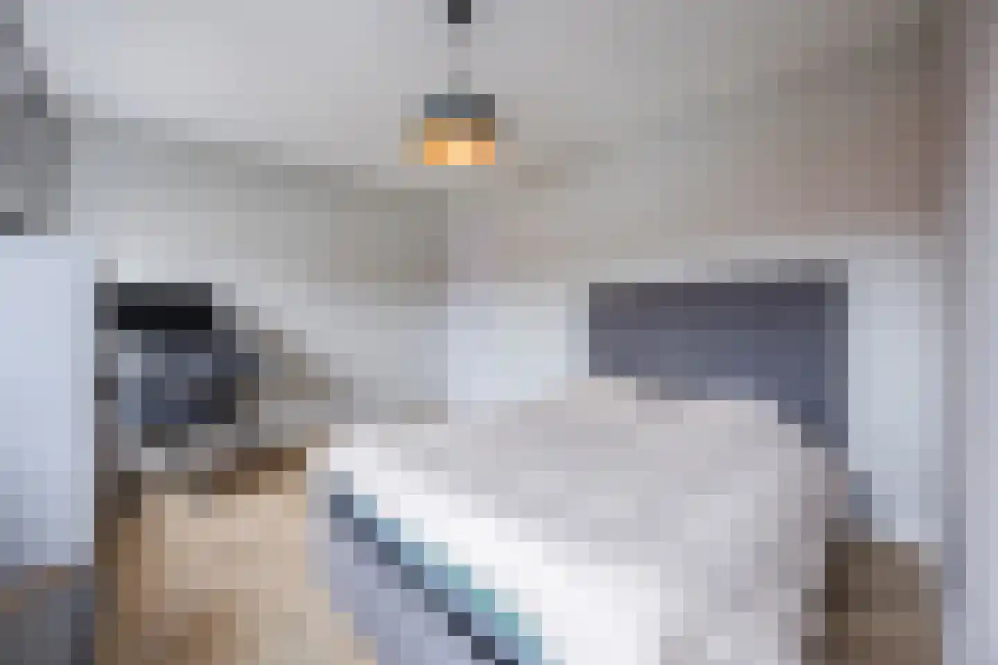 Kokhaanhof 10 Den Haag thumbnail 40