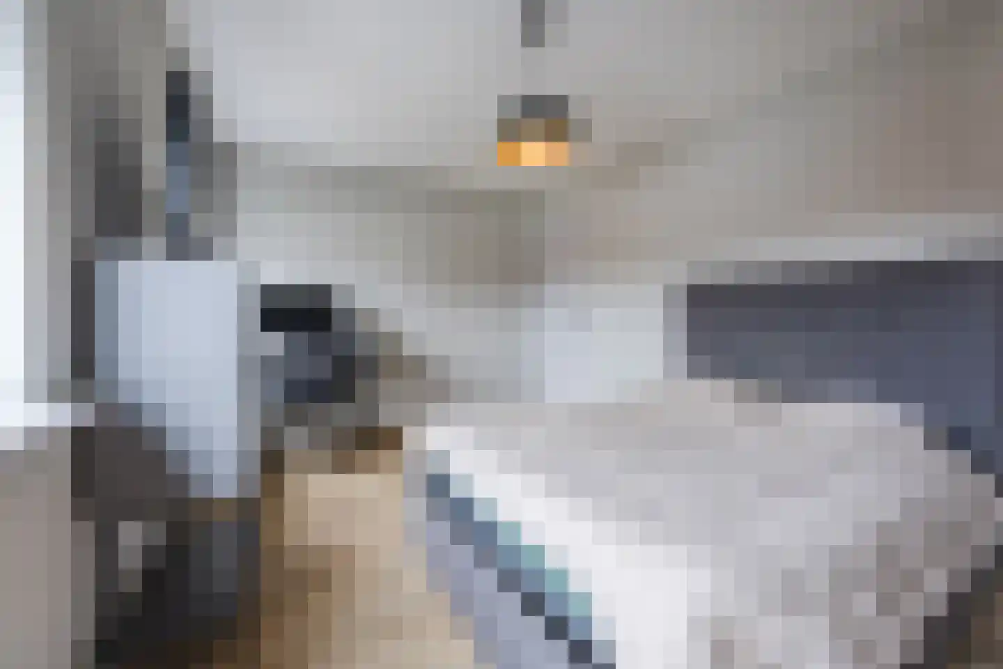 Kokhaanhof 10 Den Haag thumbnail 41