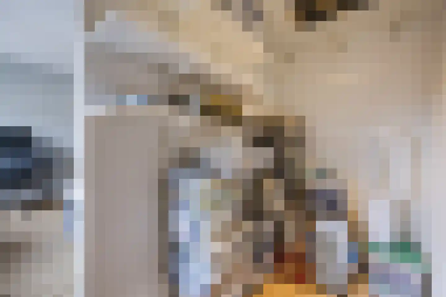 Kokhaanhof 10 Den Haag thumbnail 42