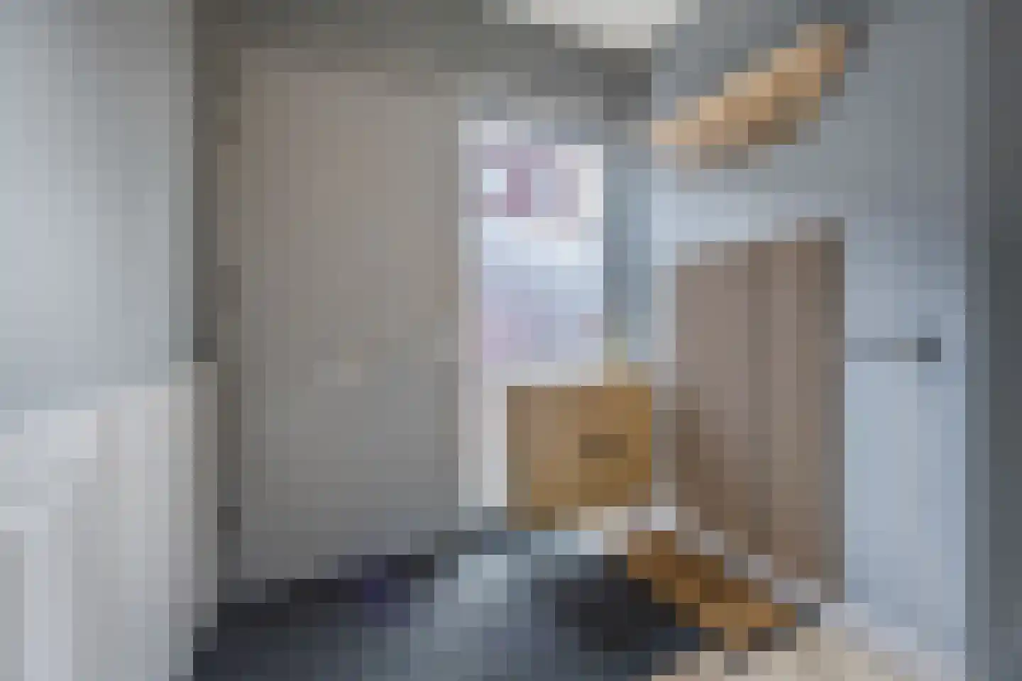 Kokhaanhof 10 Den Haag thumbnail 5
