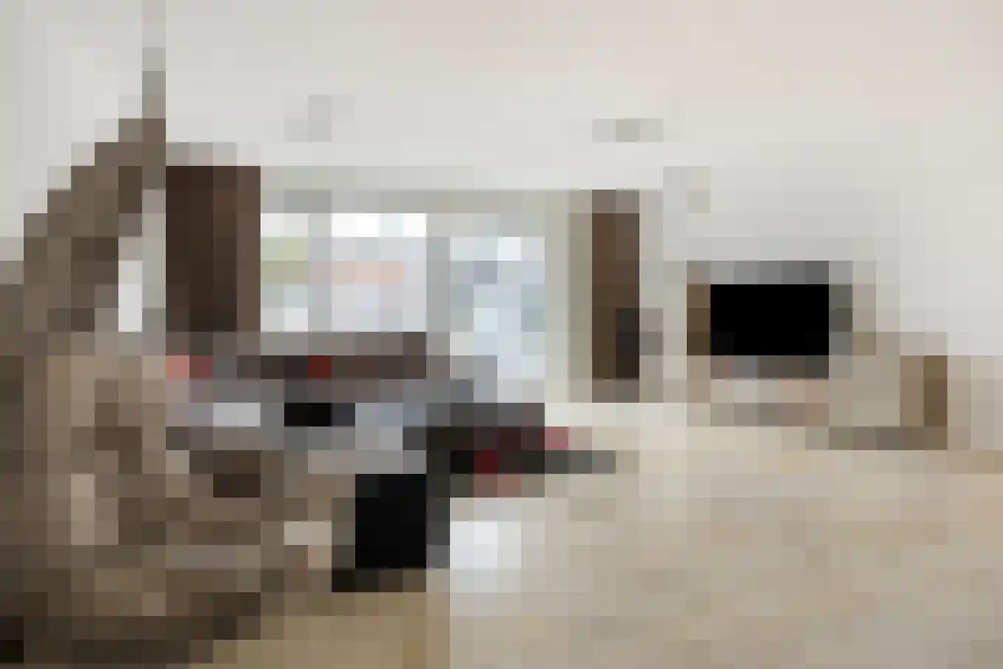 Kokhaanhof 8 Den Haag thumbnail 13