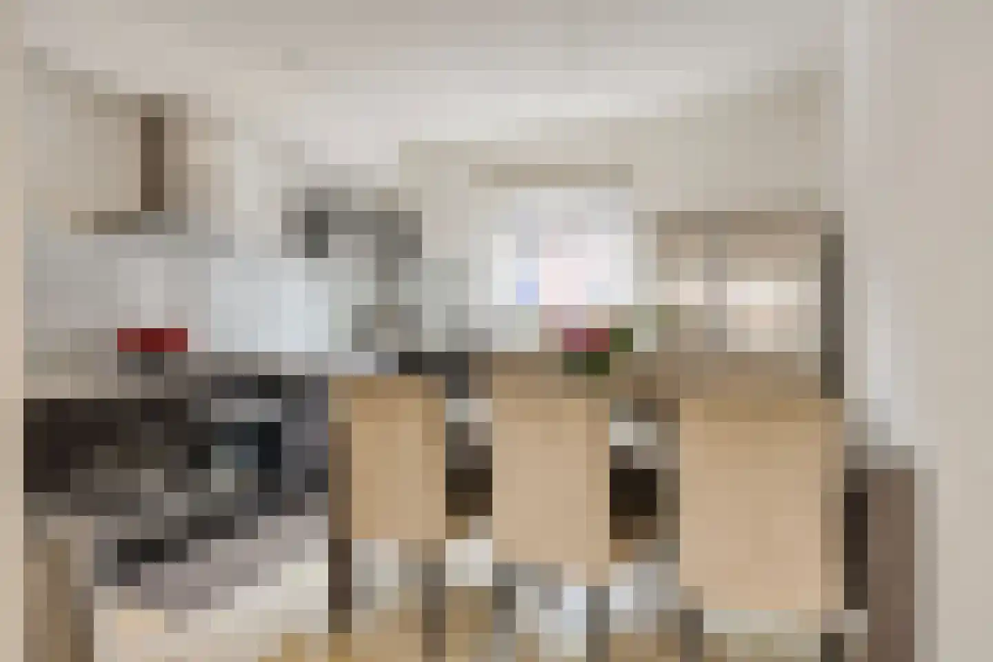Kokhaanhof 8 Den Haag thumbnail 15