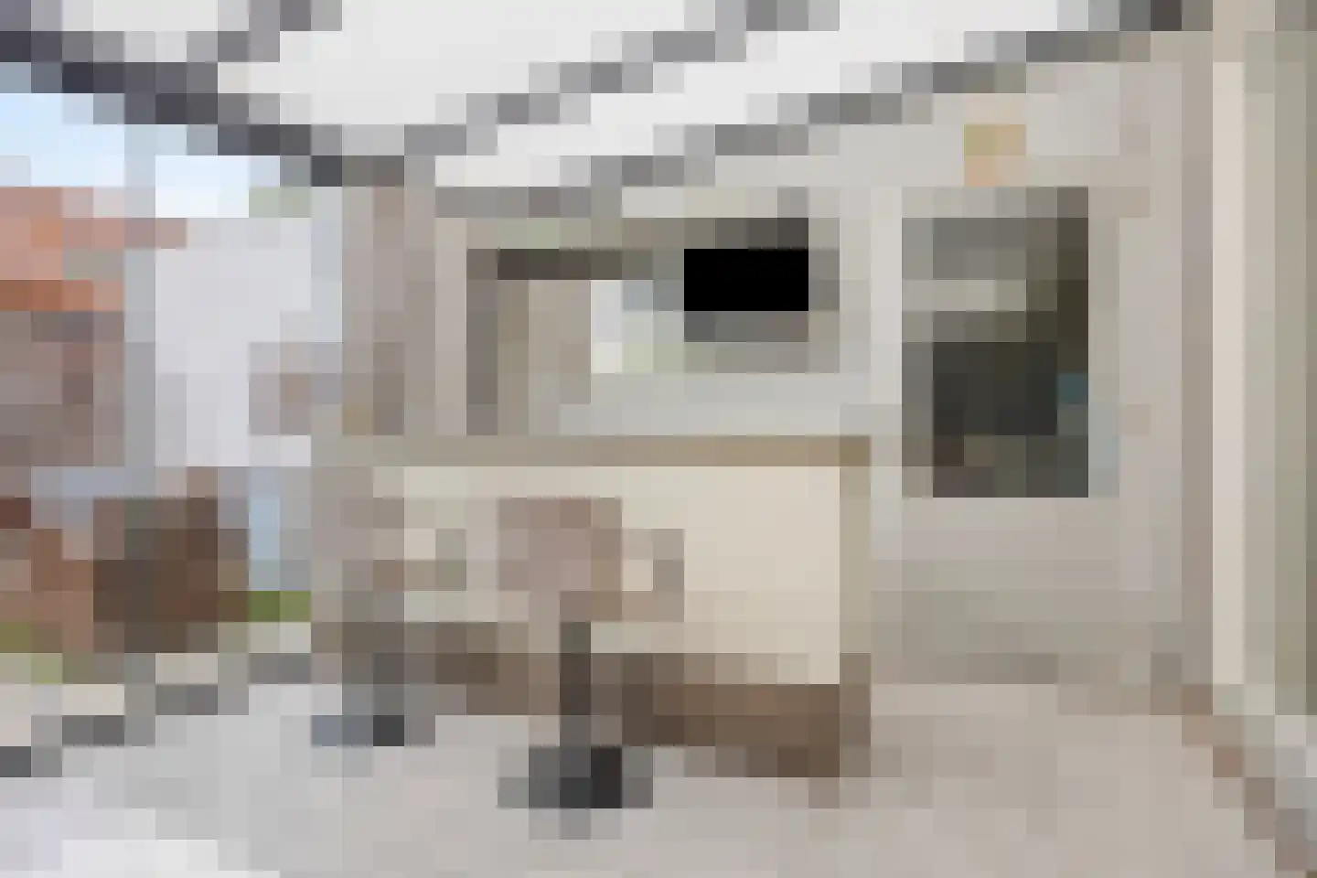 Kokhaanhof 8 Den Haag thumbnail 20