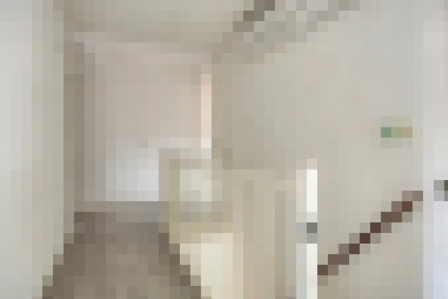 Kokhaanhof 8 Den Haag thumbnail 21