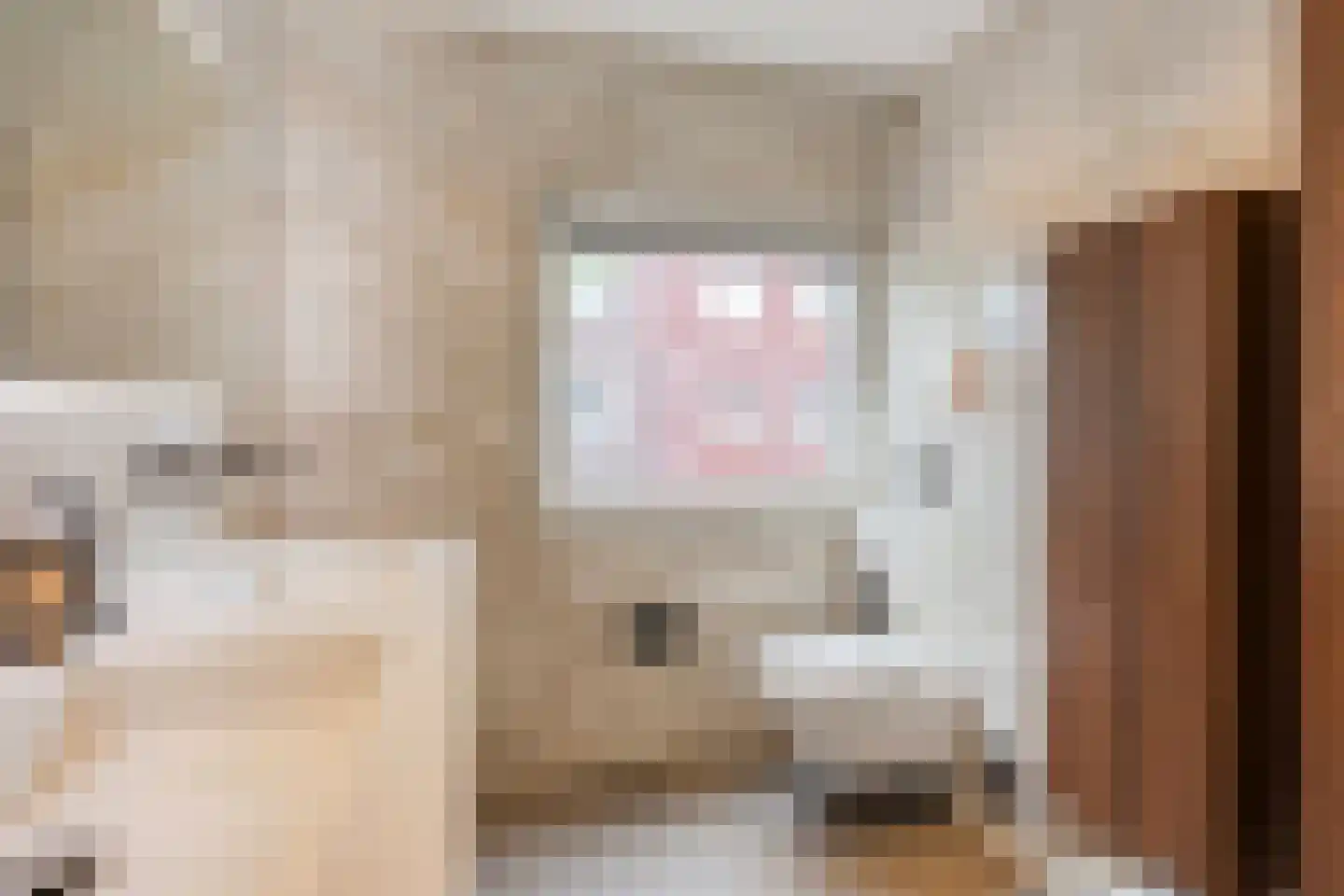 Kokhaanhof 8 Den Haag thumbnail 25
