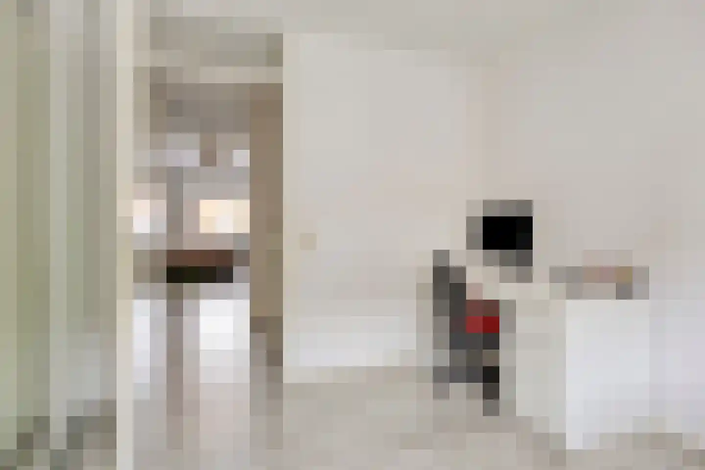 Kokhaanhof 8 Den Haag thumbnail 31
