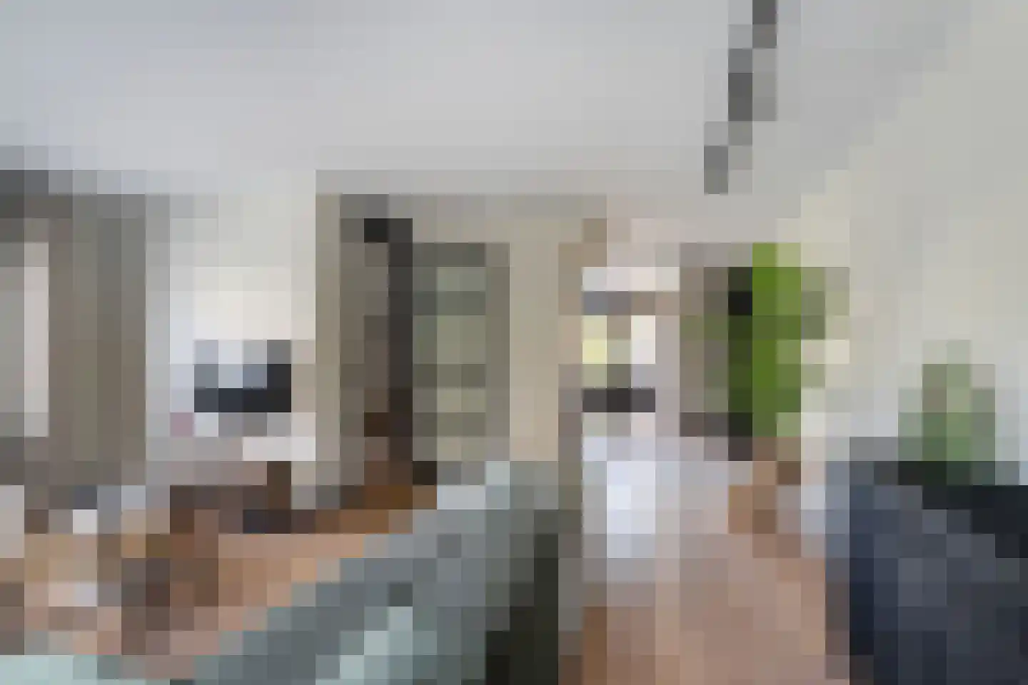 Kokkel 1 Naaldwijk thumbnail 13