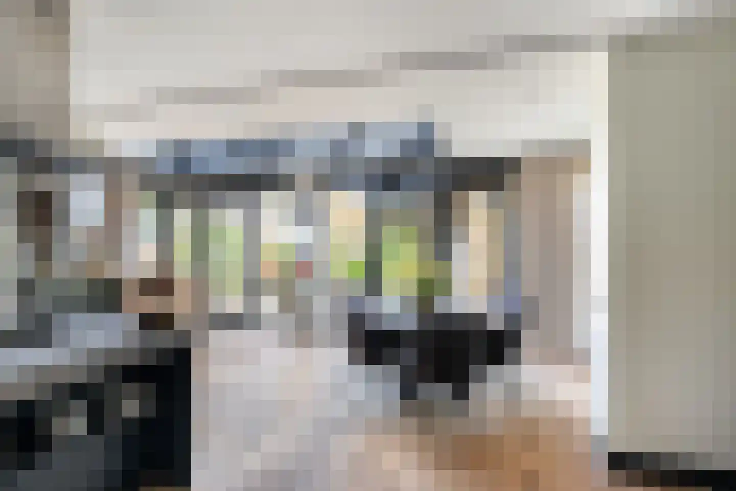 Kokkel 1 Naaldwijk thumbnail 14