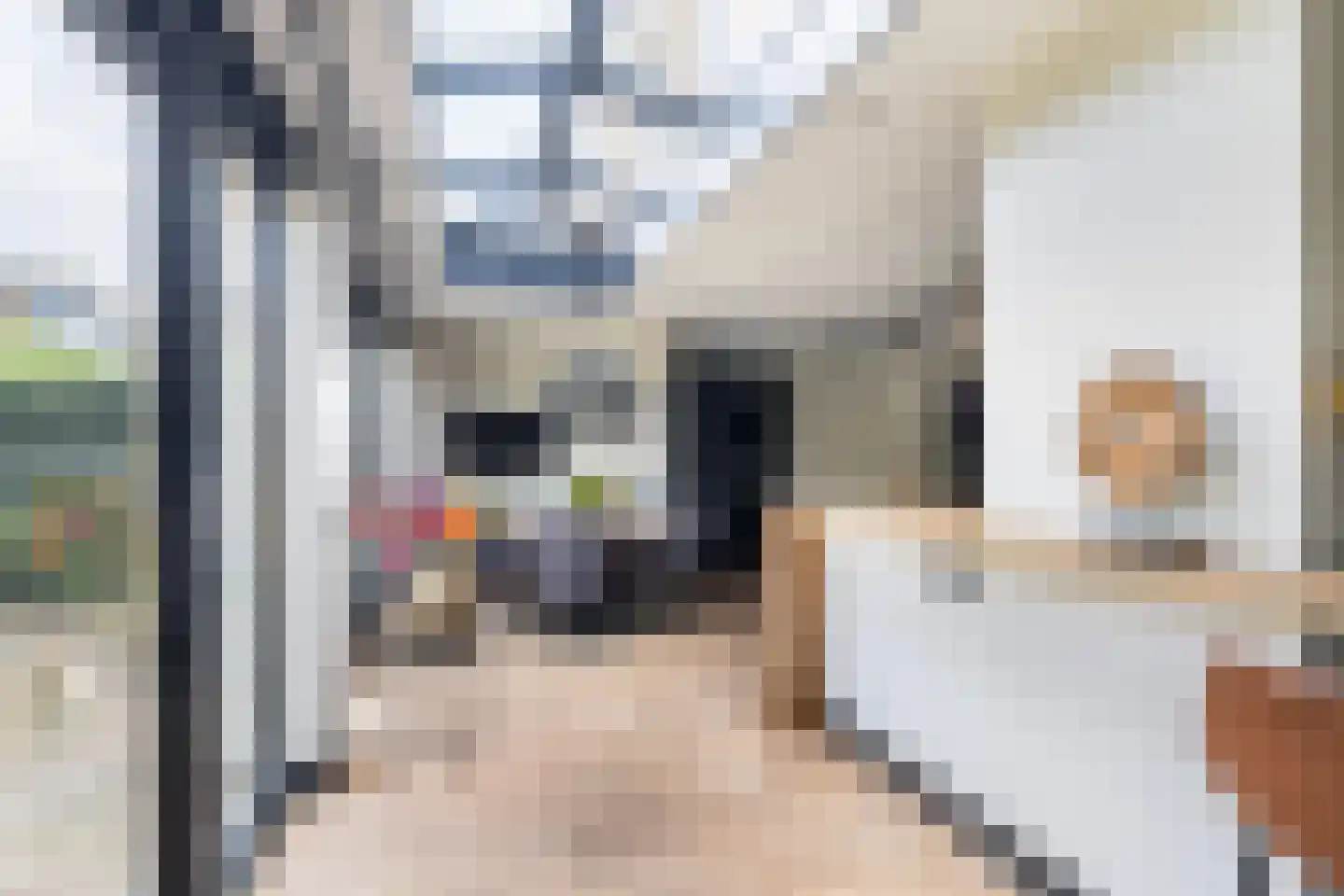 Kokkel 1 Naaldwijk thumbnail 17