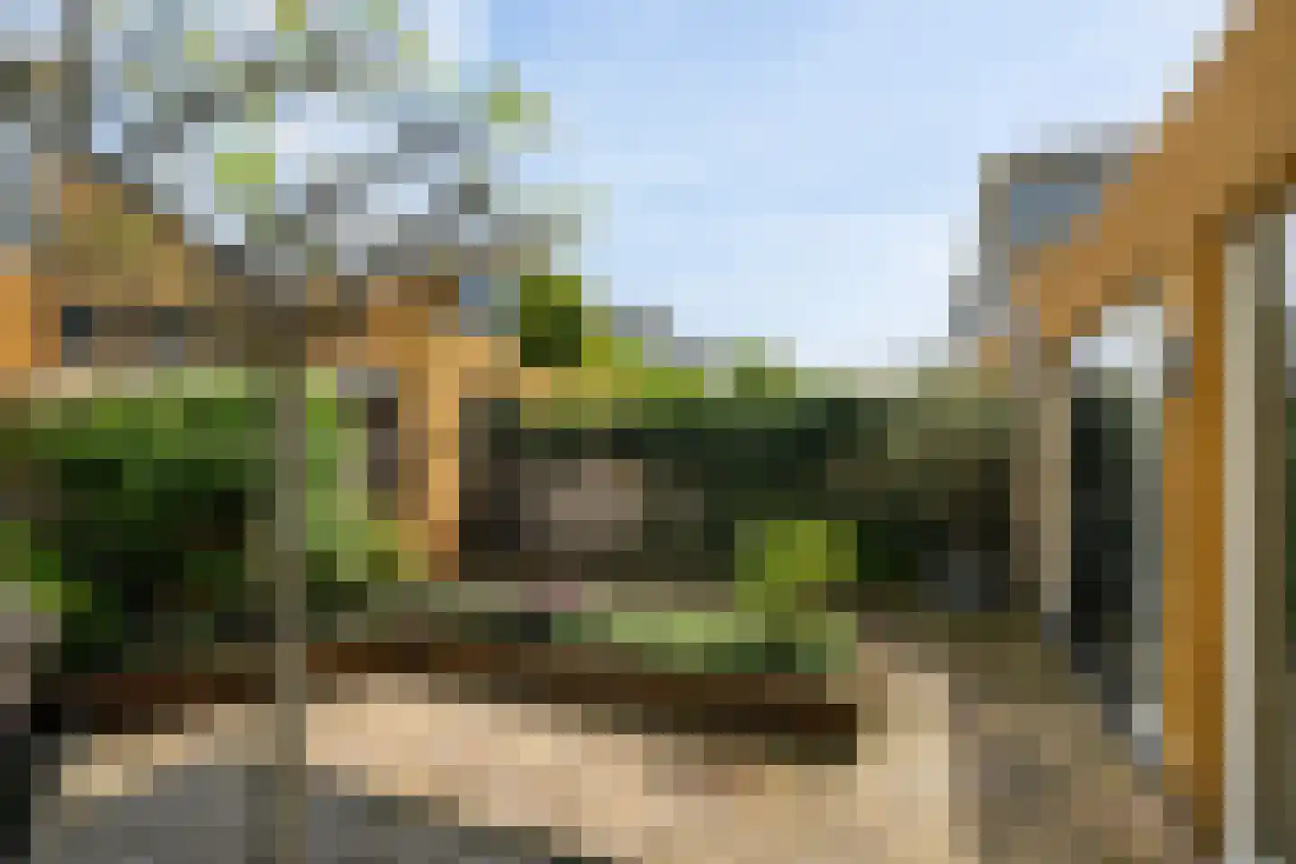 Kokkel 1 Naaldwijk thumbnail 19
