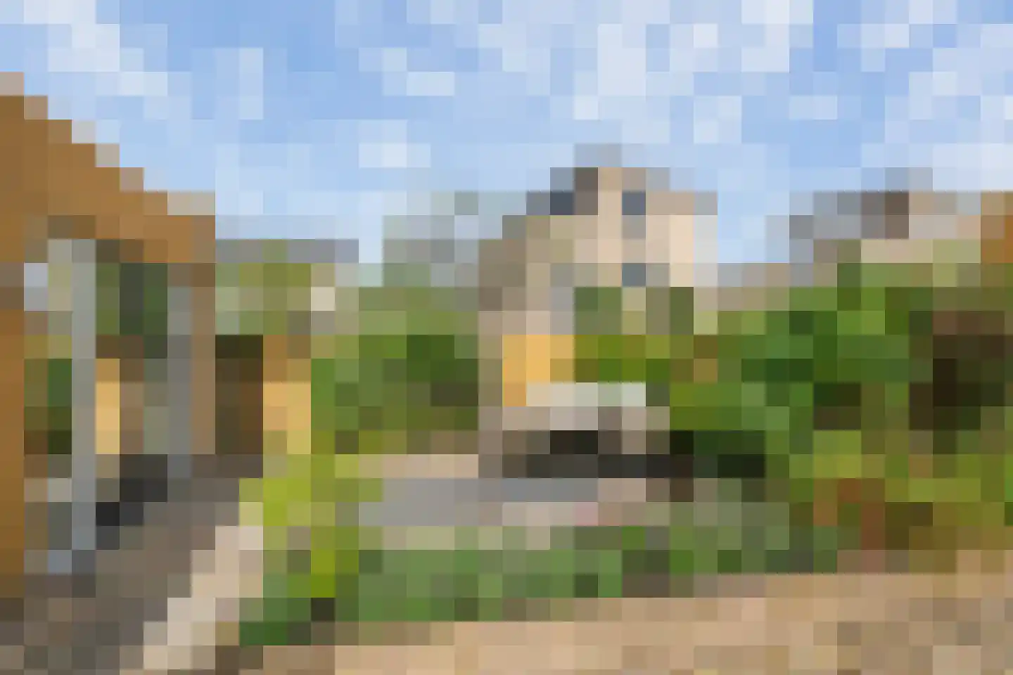 Kokkel 1 Naaldwijk thumbnail 20