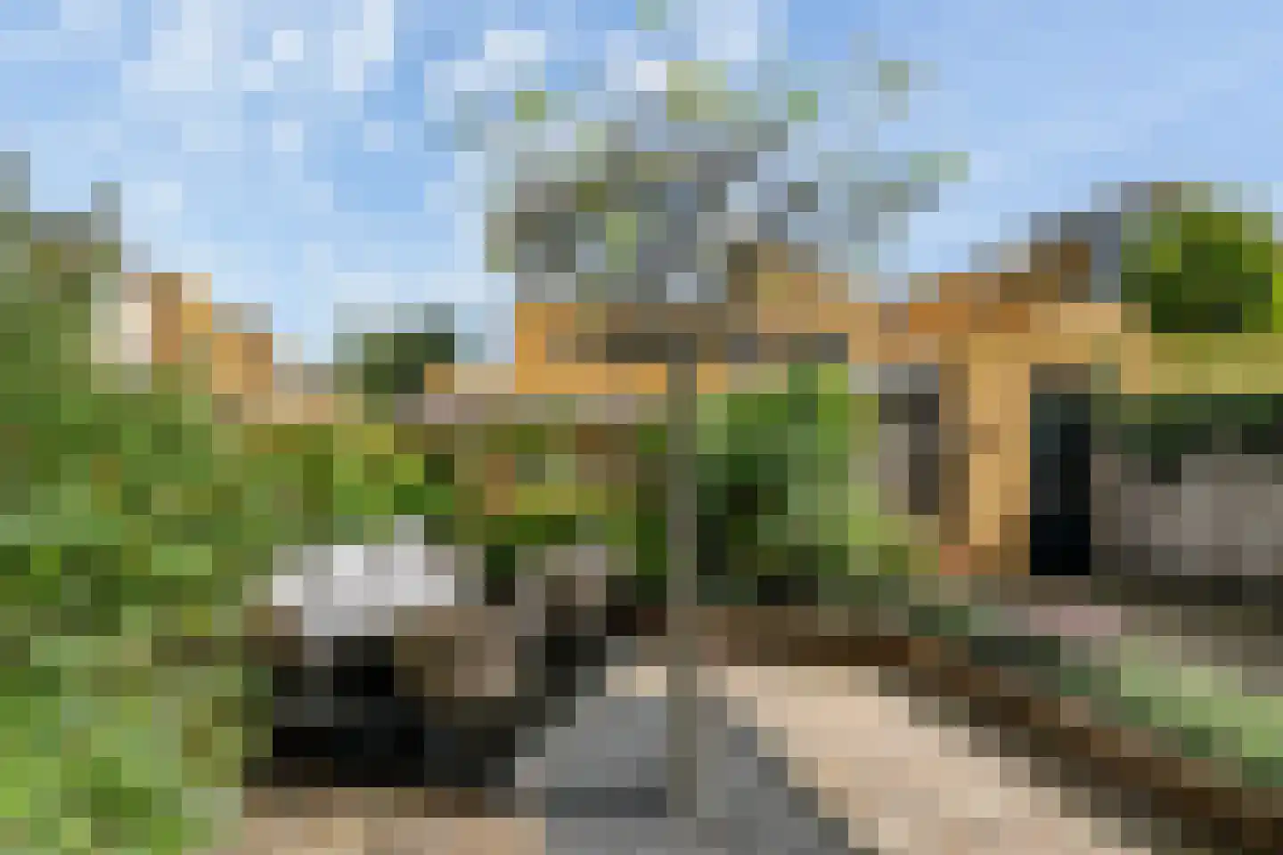 Kokkel 1 Naaldwijk thumbnail 21