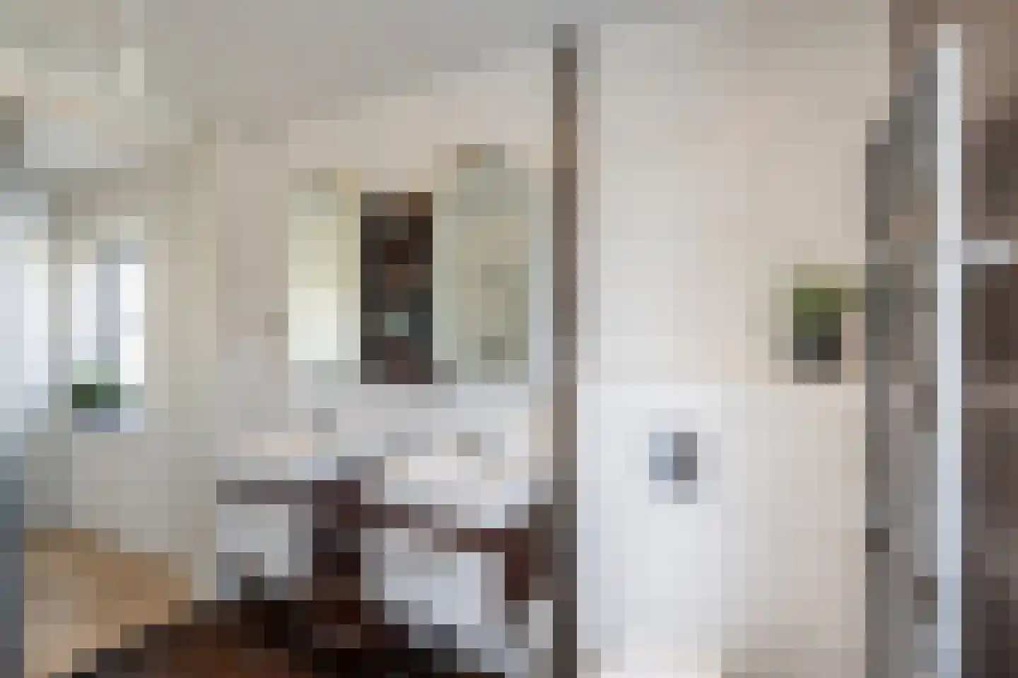 Kokkel 1 Naaldwijk thumbnail 28