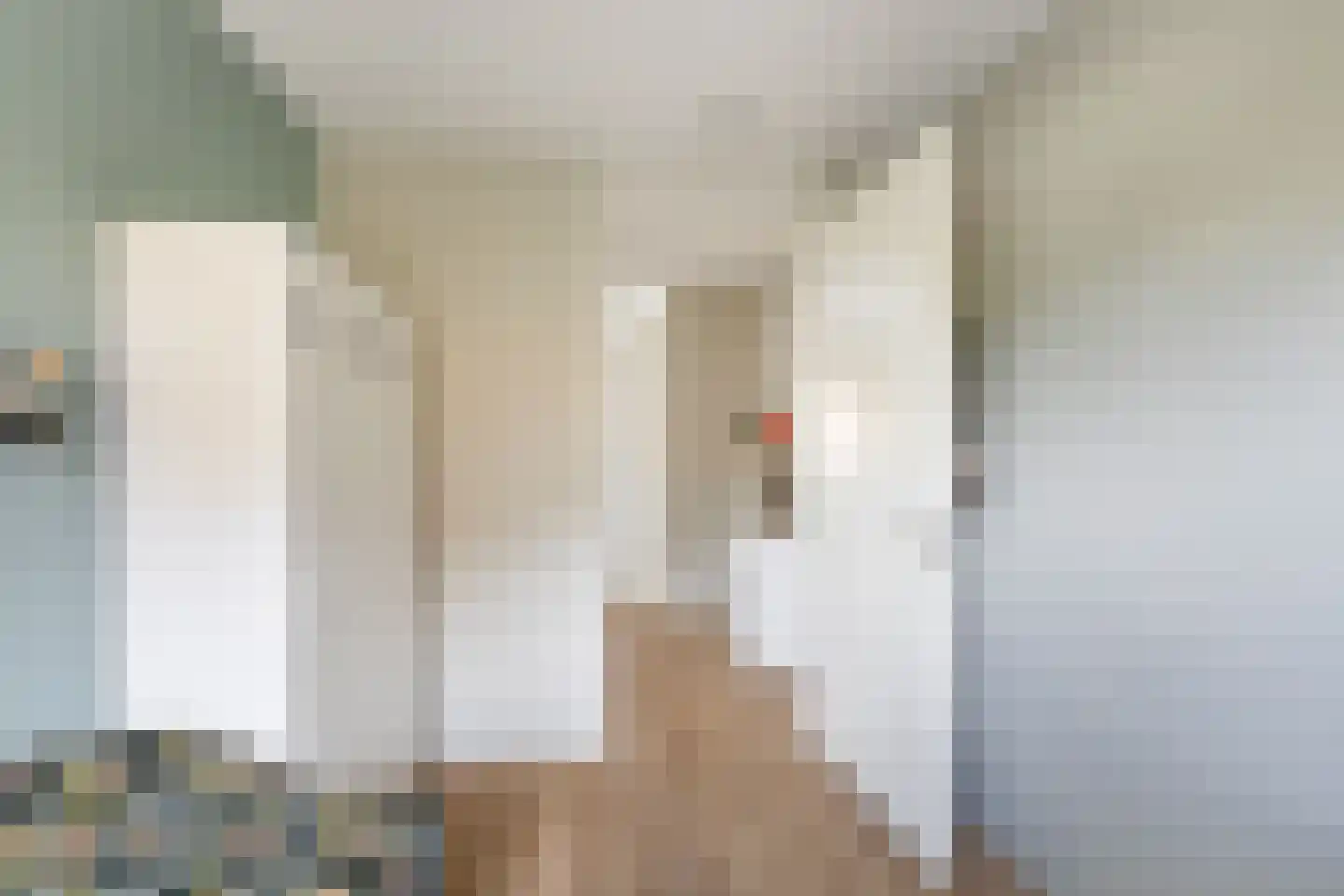 Kokkel 1 Naaldwijk thumbnail 31