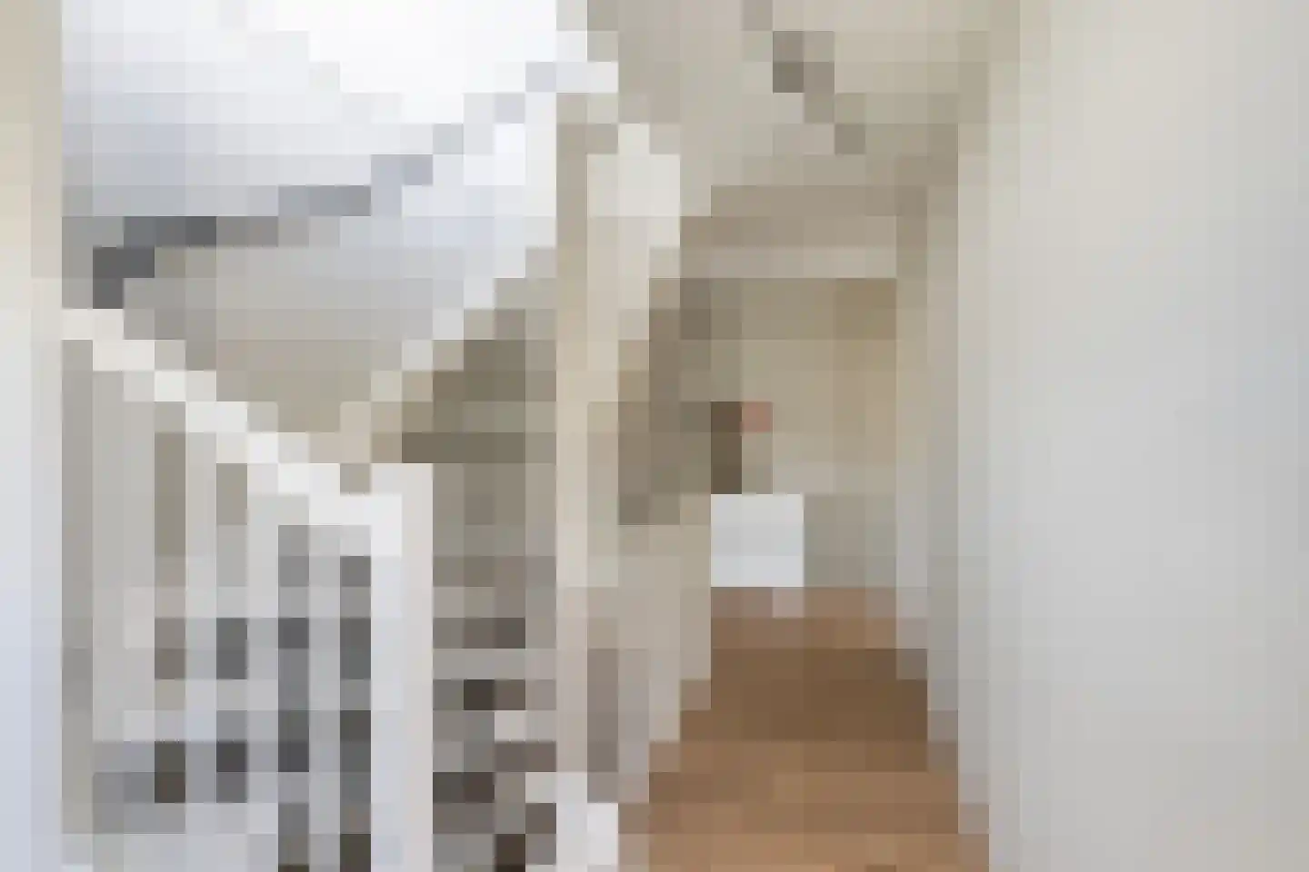 Kokkel 1 Naaldwijk thumbnail 34