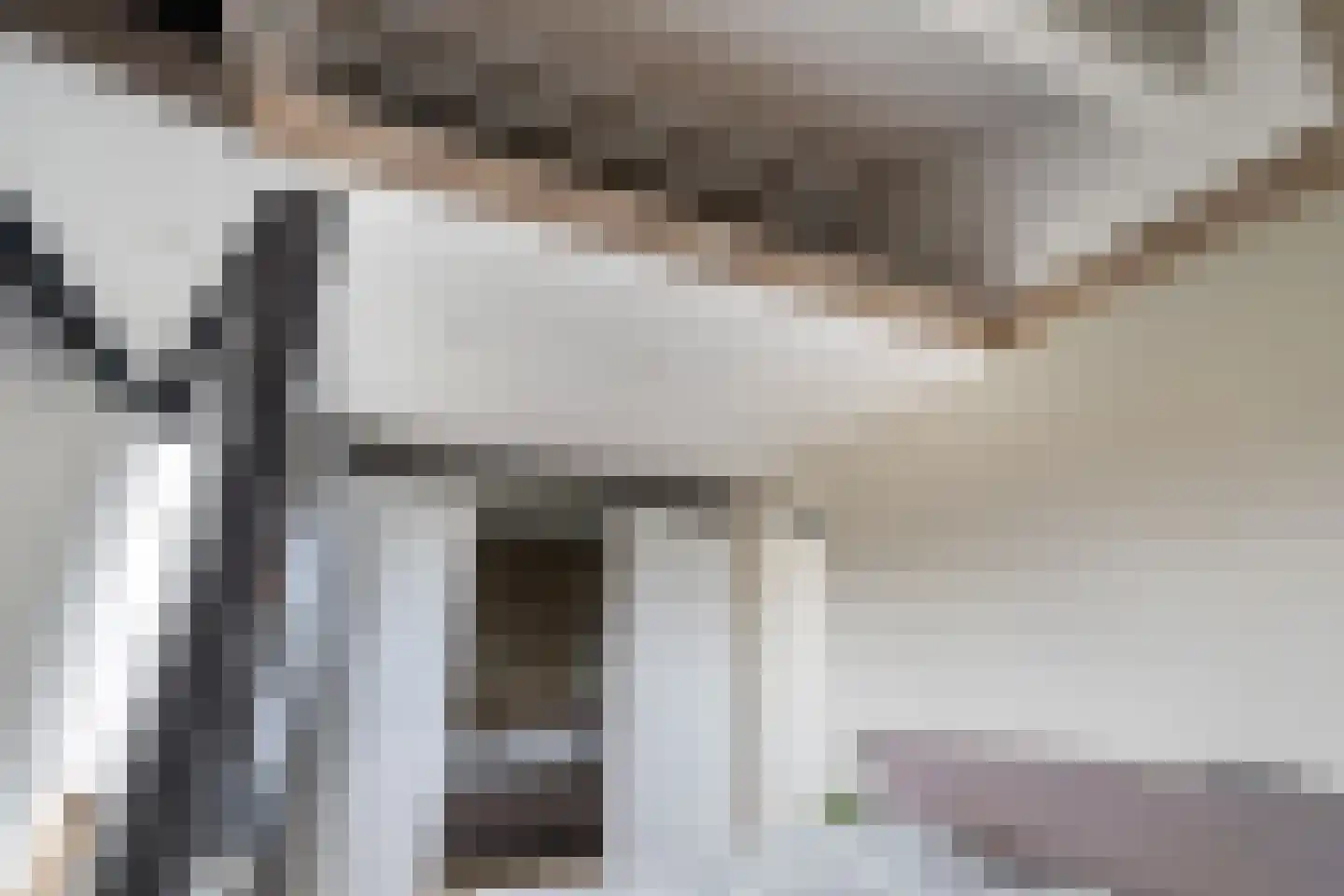 Kokkel 1 Naaldwijk thumbnail 40
