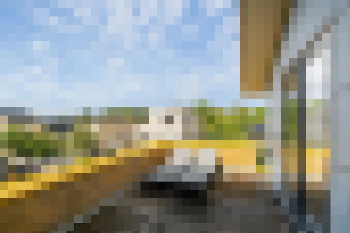 Kokkel 1 Naaldwijk thumbnail 42