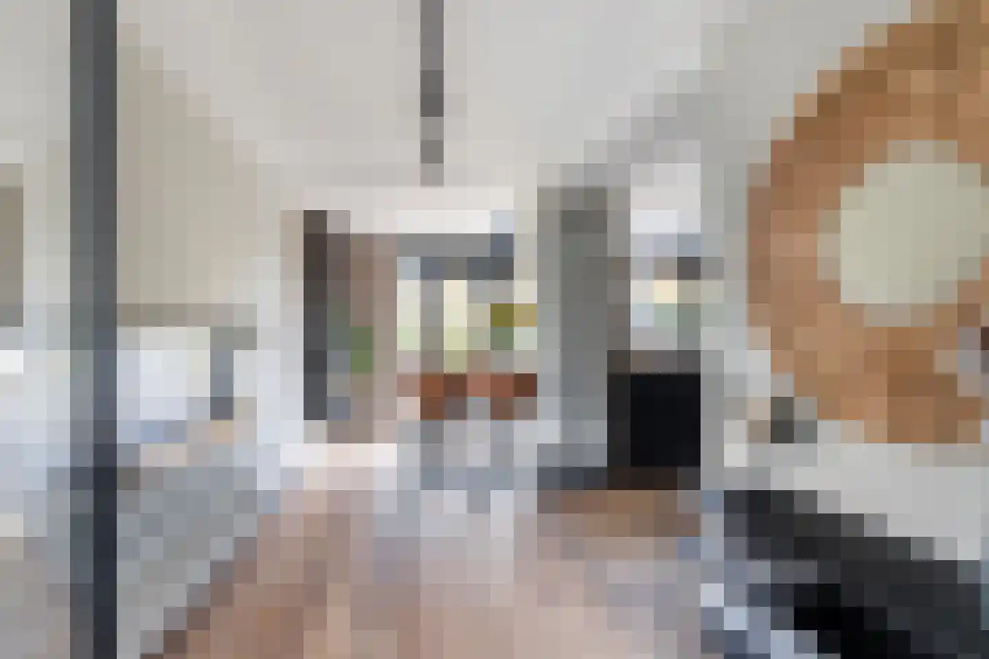 Kokkel 1 Naaldwijk thumbnail 5